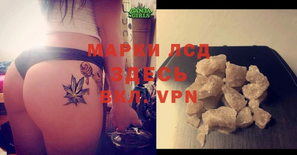 твердый Елизово