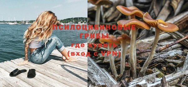 а пвп мука Елабуга