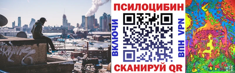 Псилоцибиновые грибы Psilocybine cubensis  кракен как войти  Слободской 