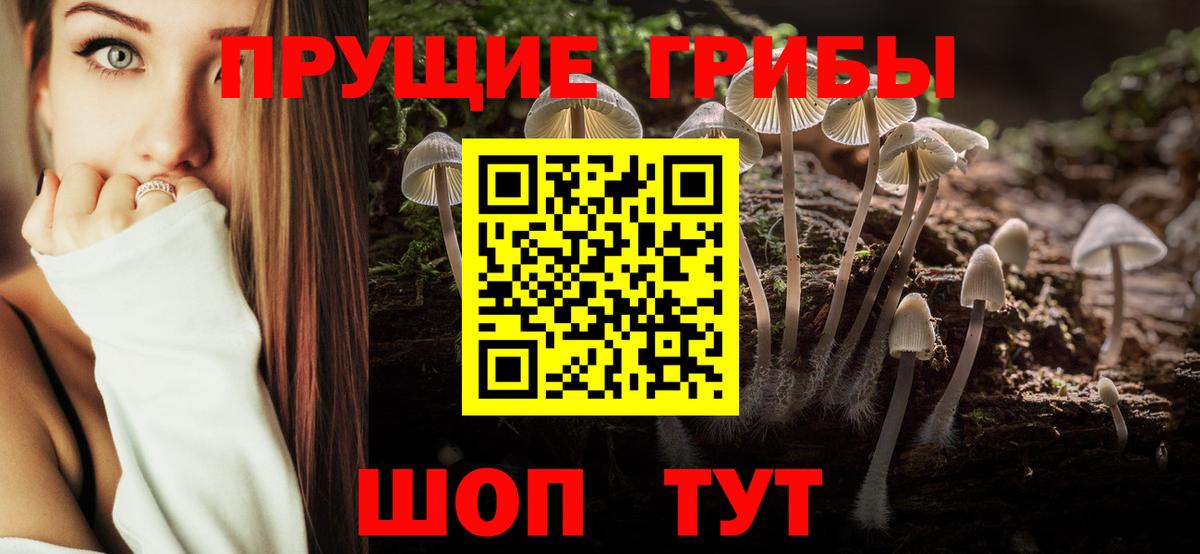 Слободской  Галлюциногенные грибы GOLDEN TEACHER  Вход с VPN 